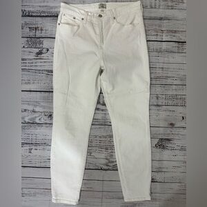 J. Crew Lookout High‎ Rise Skinny Jeans Sz. 31P